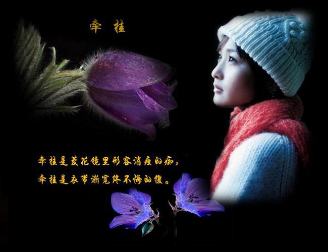liuymei